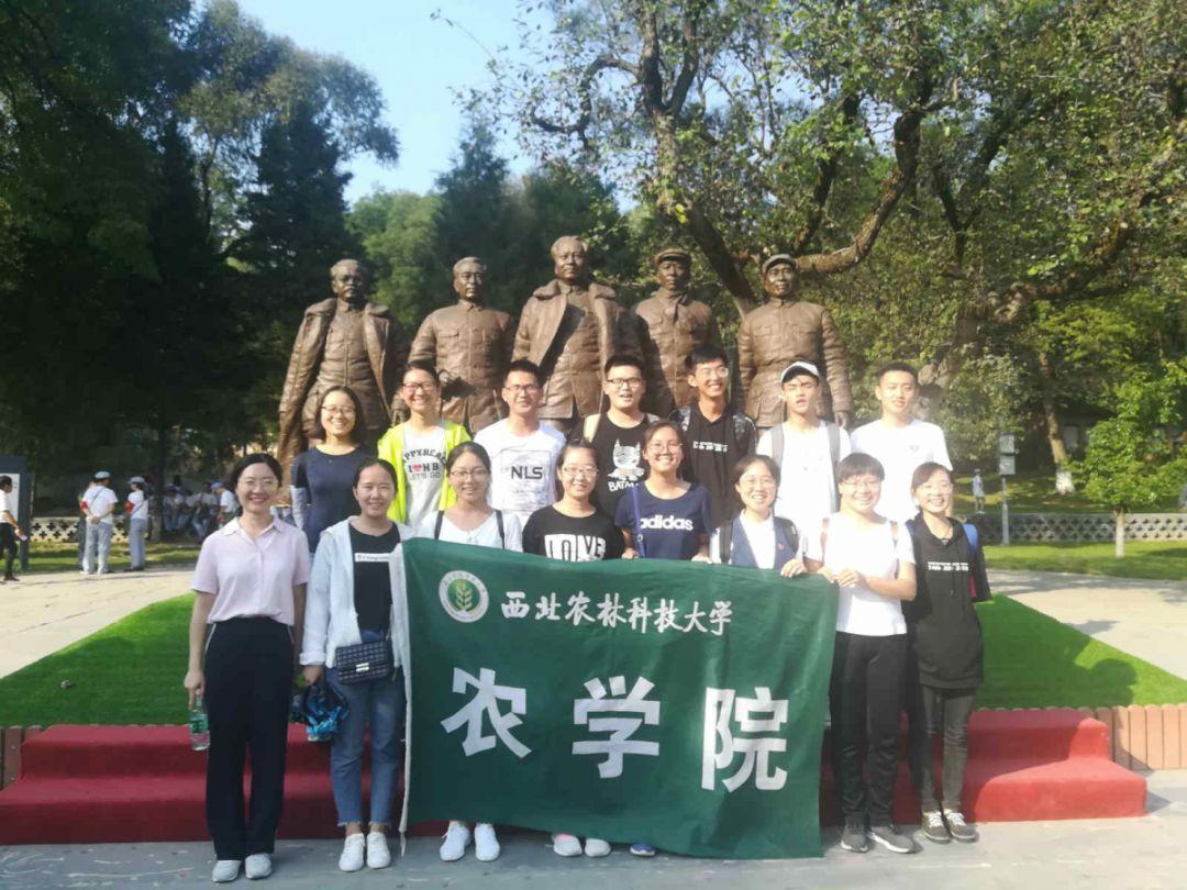 【市地快讯】伊春市金林区开展政企联动应急救援演练